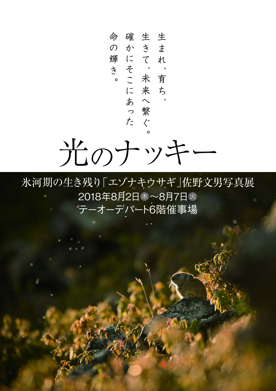 氷河期の生き残り「エゾナキウサギ」佐野文男写真展